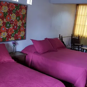 Villas & Club 2* Constanza